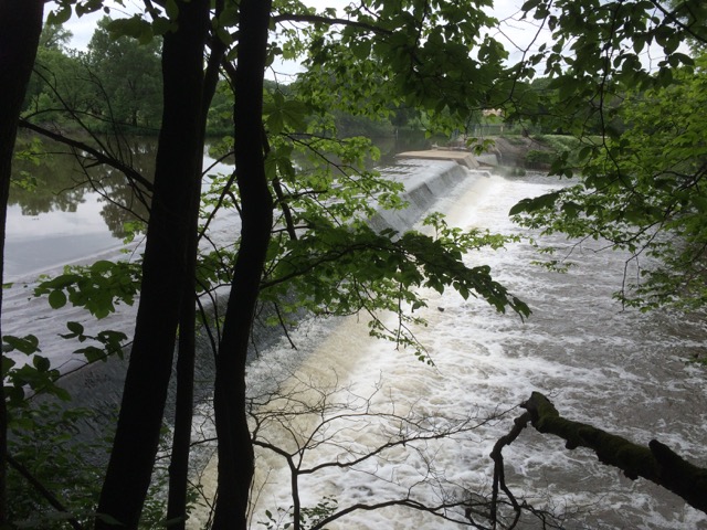 Decatur Lake, Lower Middle Sugar River,Lower Sugar River Watershed (SP11)