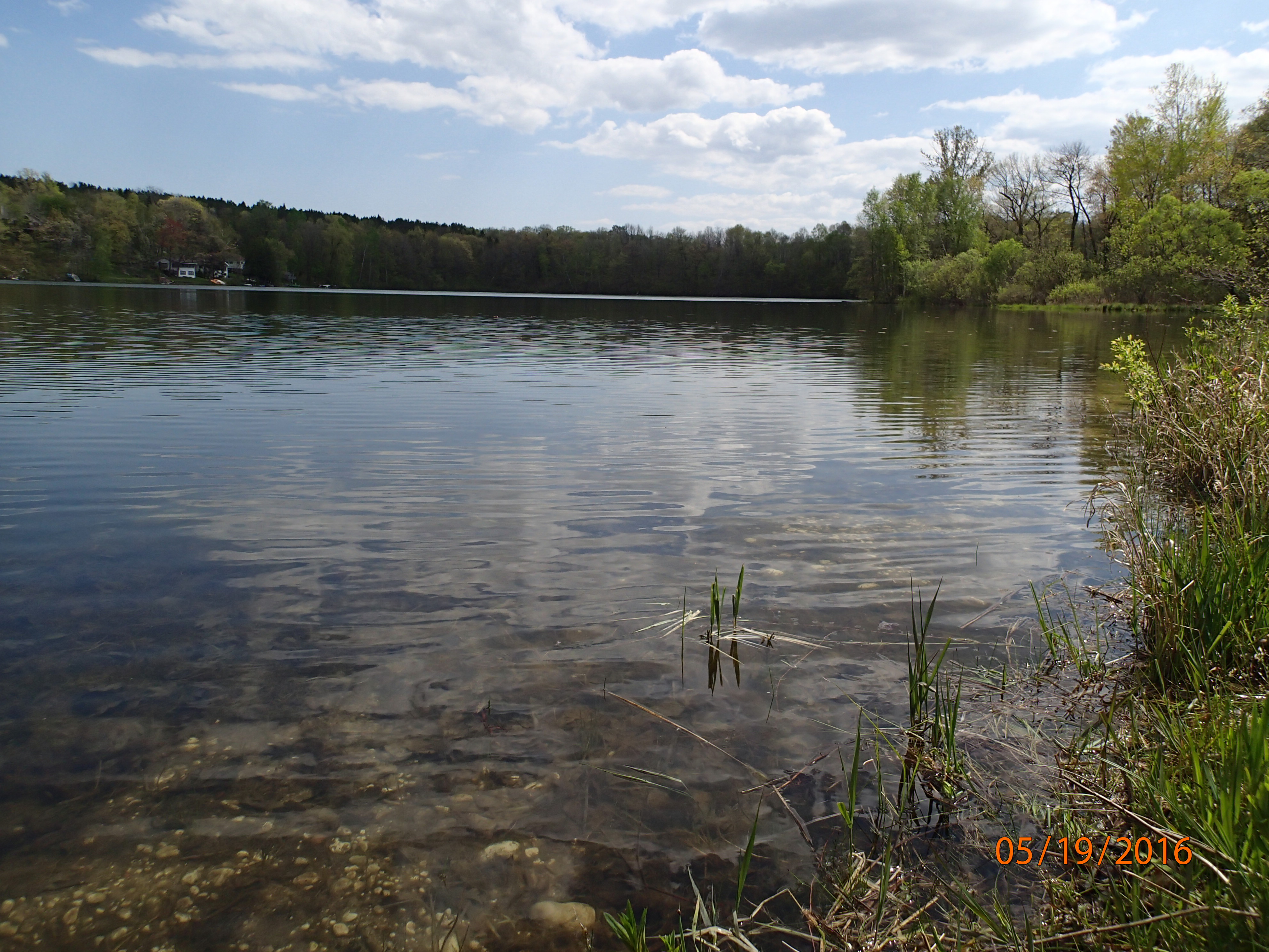 Forest Lake, East and West Branches Milwaukee River Watershed (MI06)
