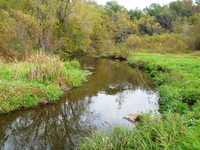 Mineral Point Branch, Mineral Point and Sudan Branches Watershed (SP09)