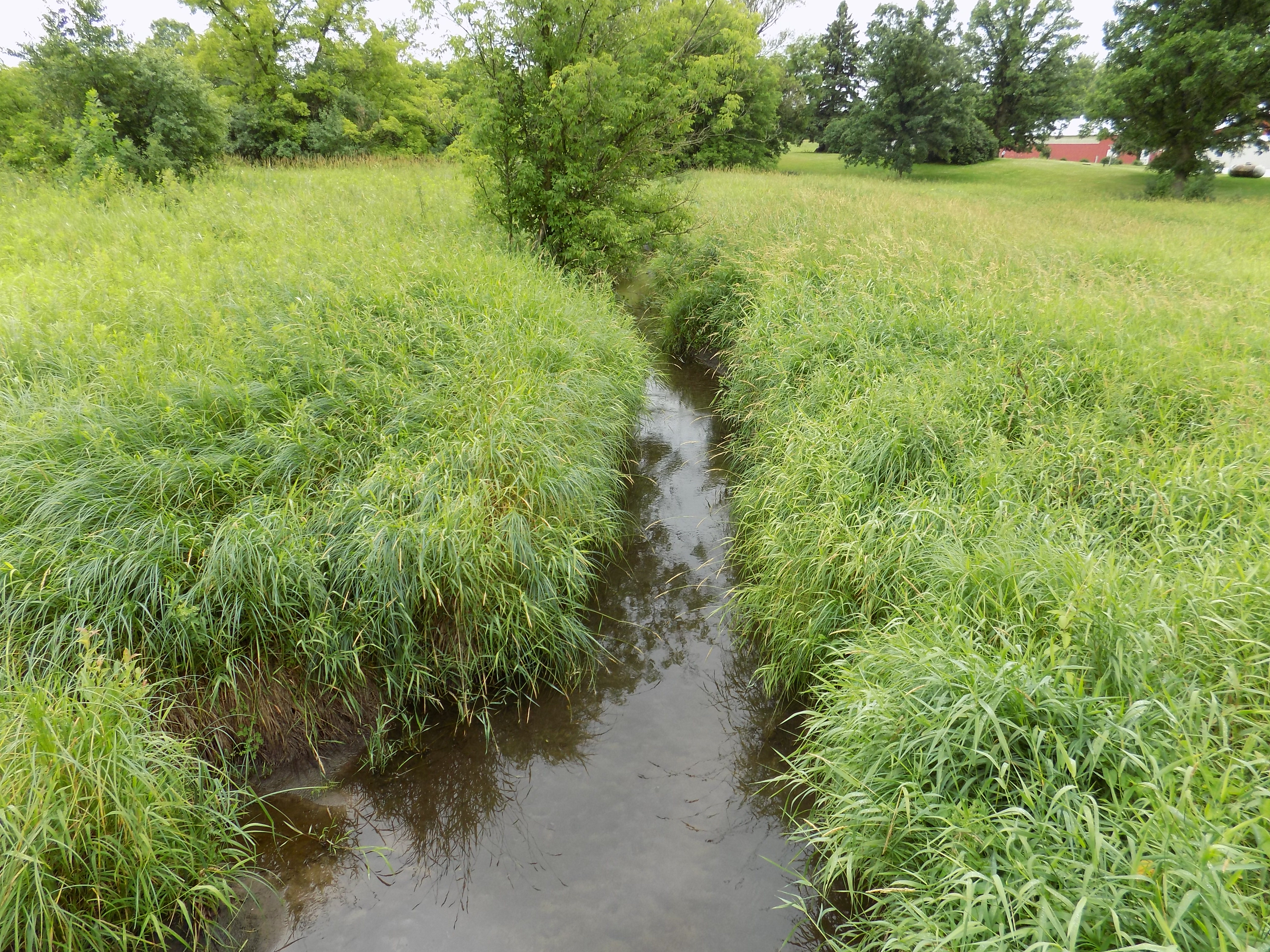 South Branch Trade River, Trade River Watershed (SC10)
