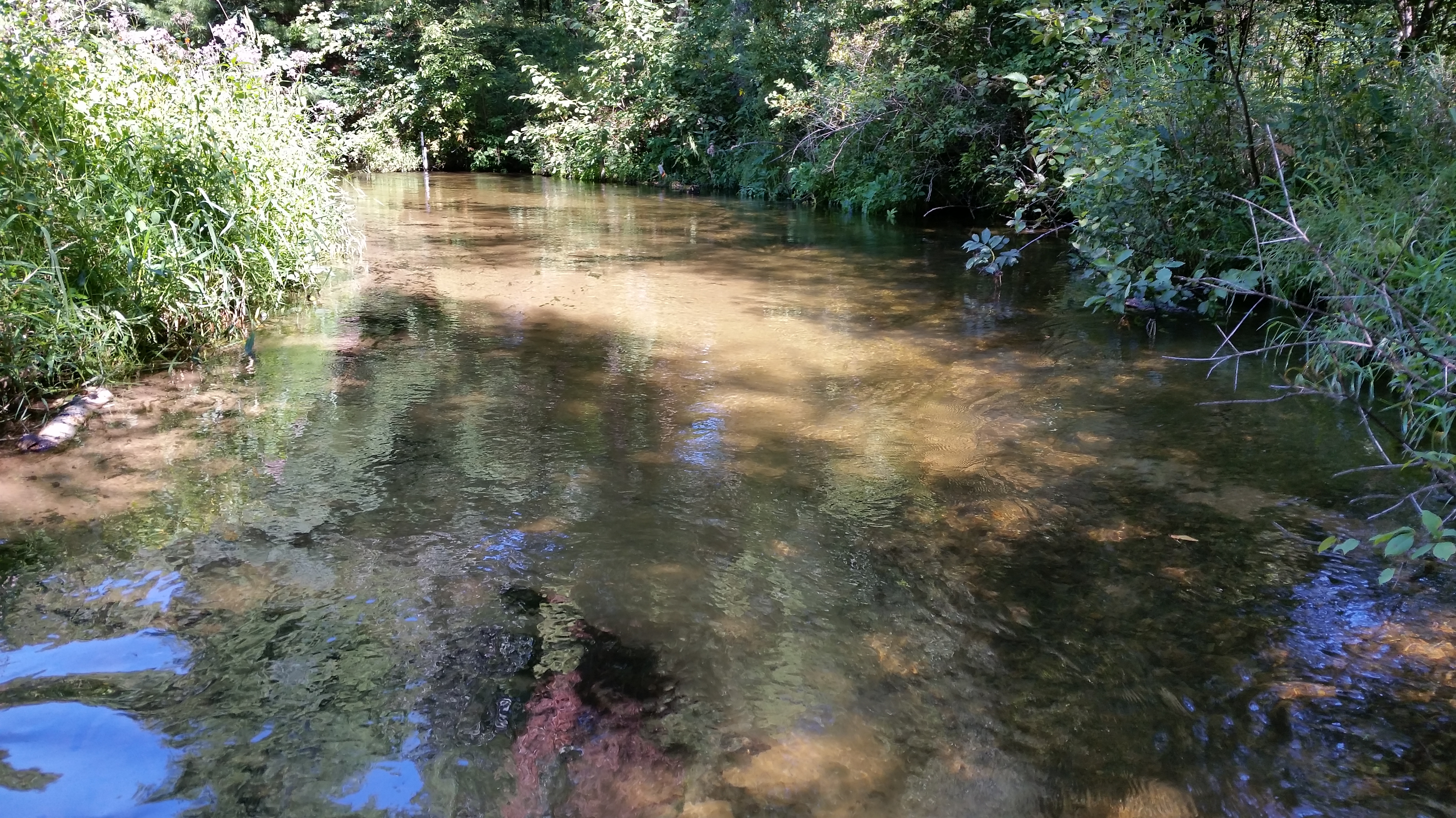 Mecan River, Mecan River,Fox River - Berlin Watershed (UF06)