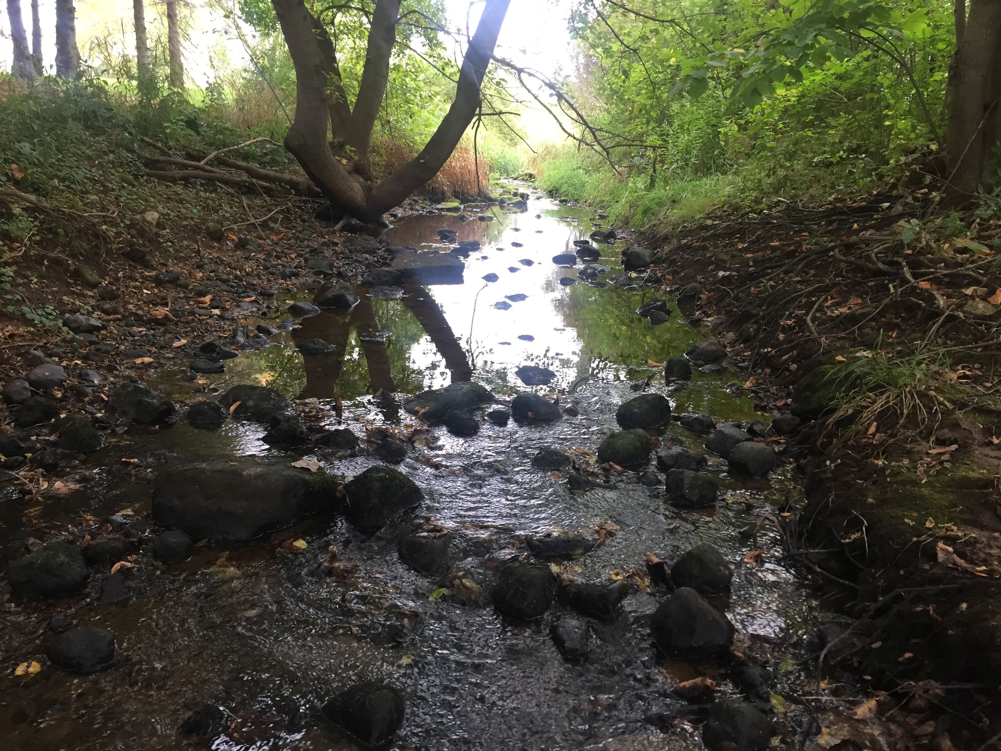 Unnamed Trib (T19n, R21e, S02), Lower Manitowoc River Watershed (MA02)