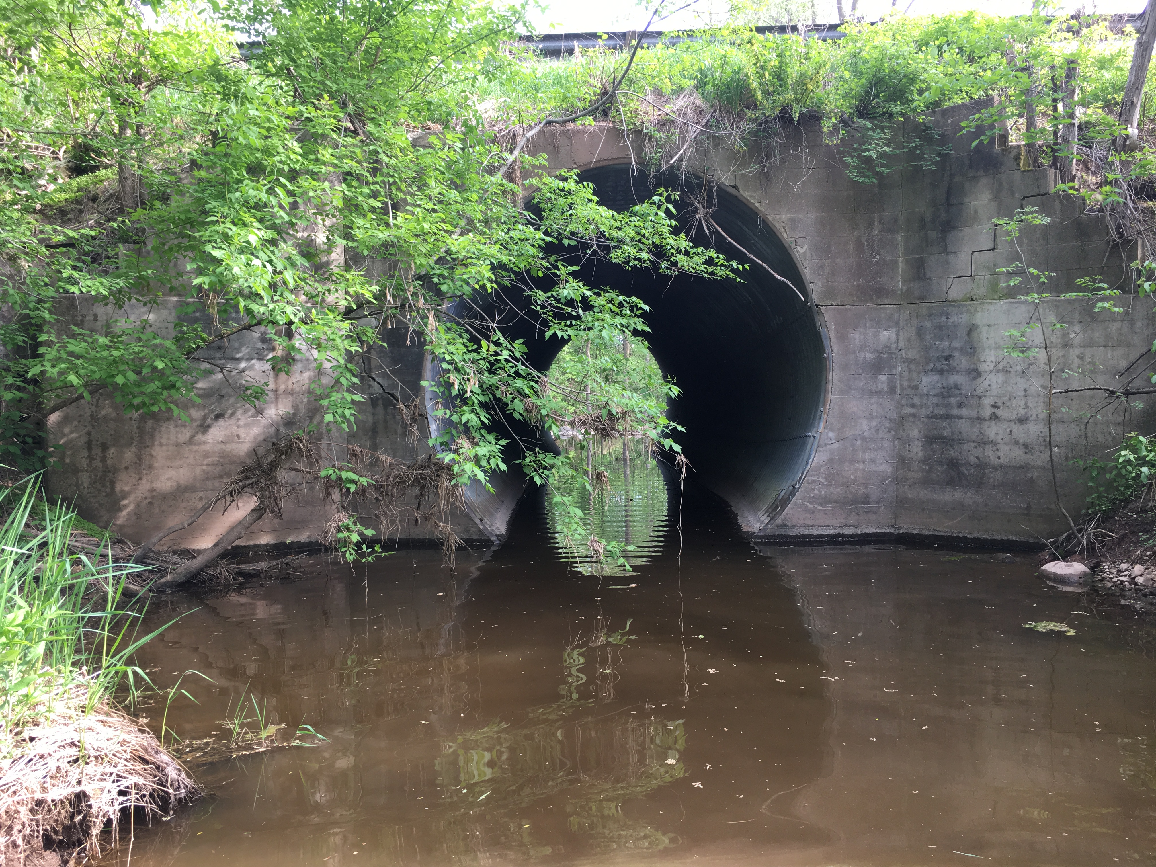 King Creek, West Twin River Watershed (TK01)