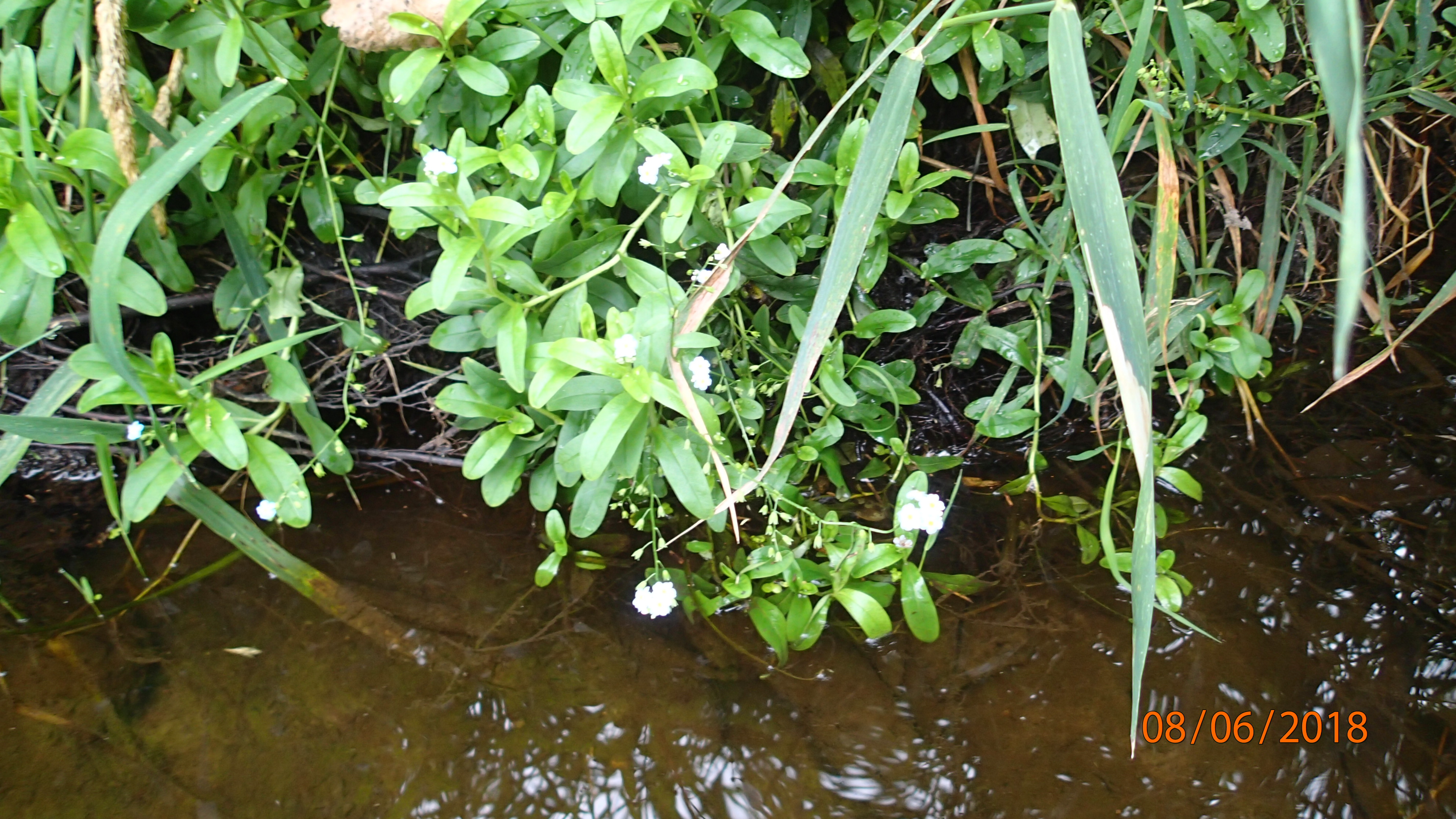 Little River, Little River,Lower Oconto River Watershed (GB03)