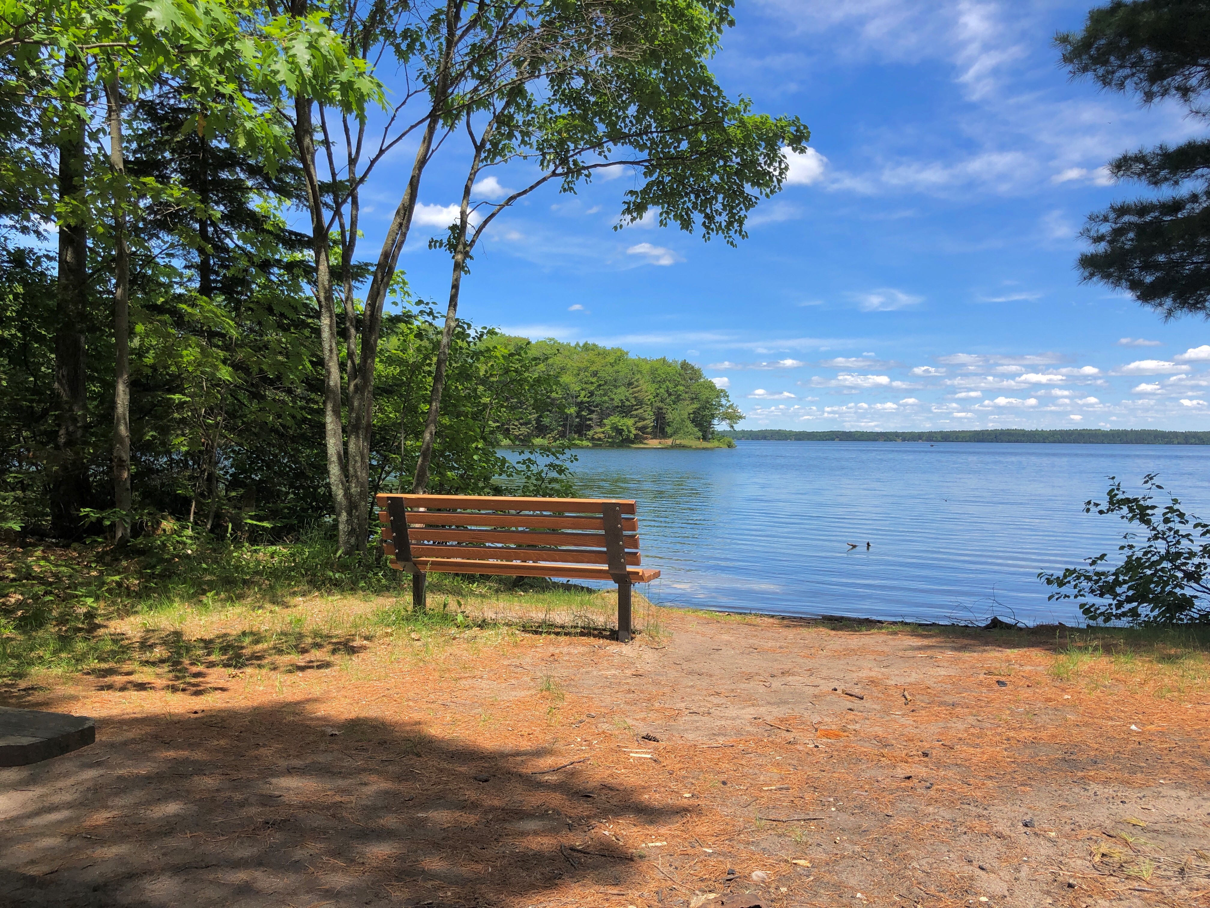 Trout Lake, Manitowish River Watershed (UC16)