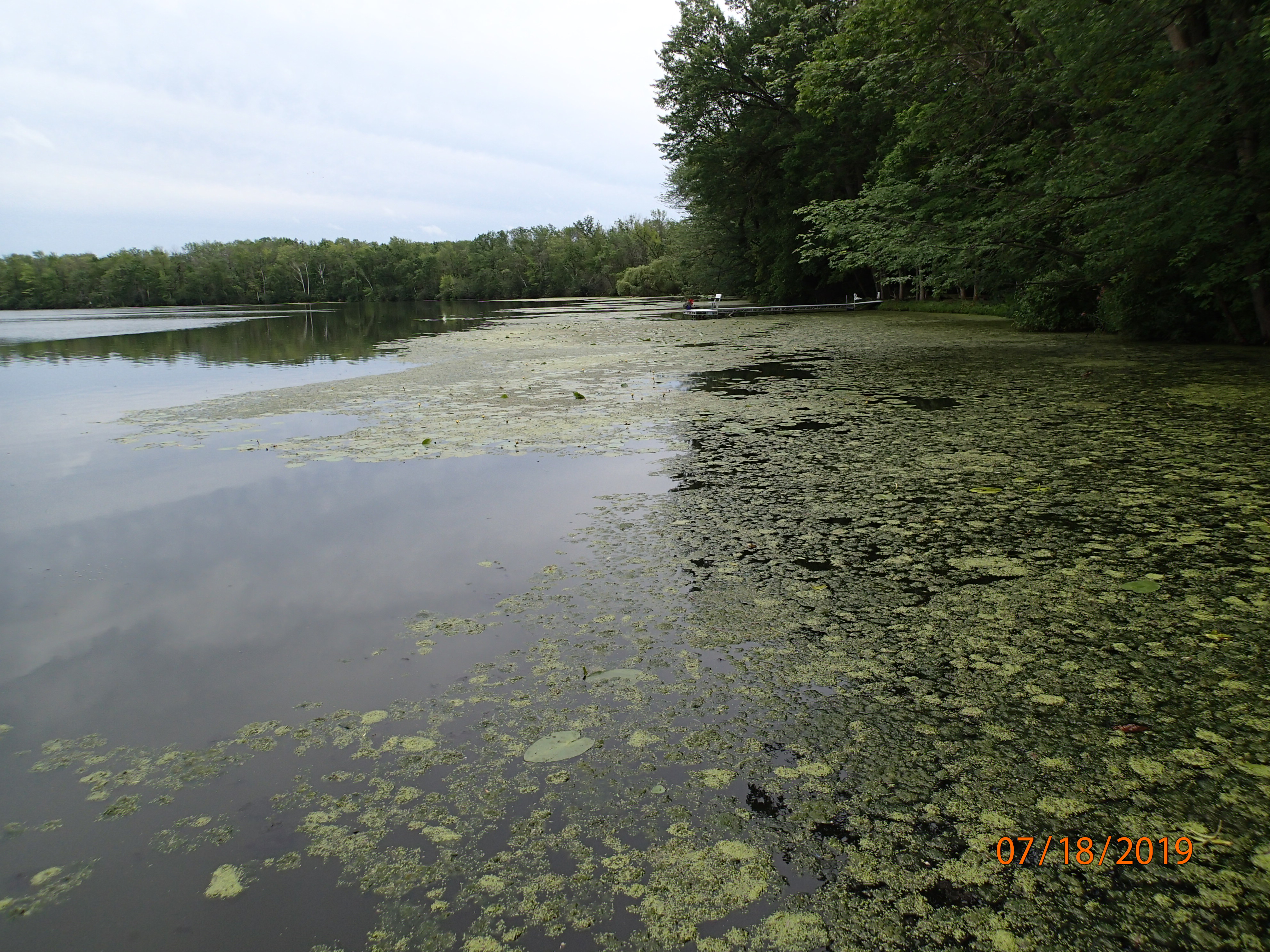 Bullhead Lake, Lower Manitowoc River Watershed (MA02)