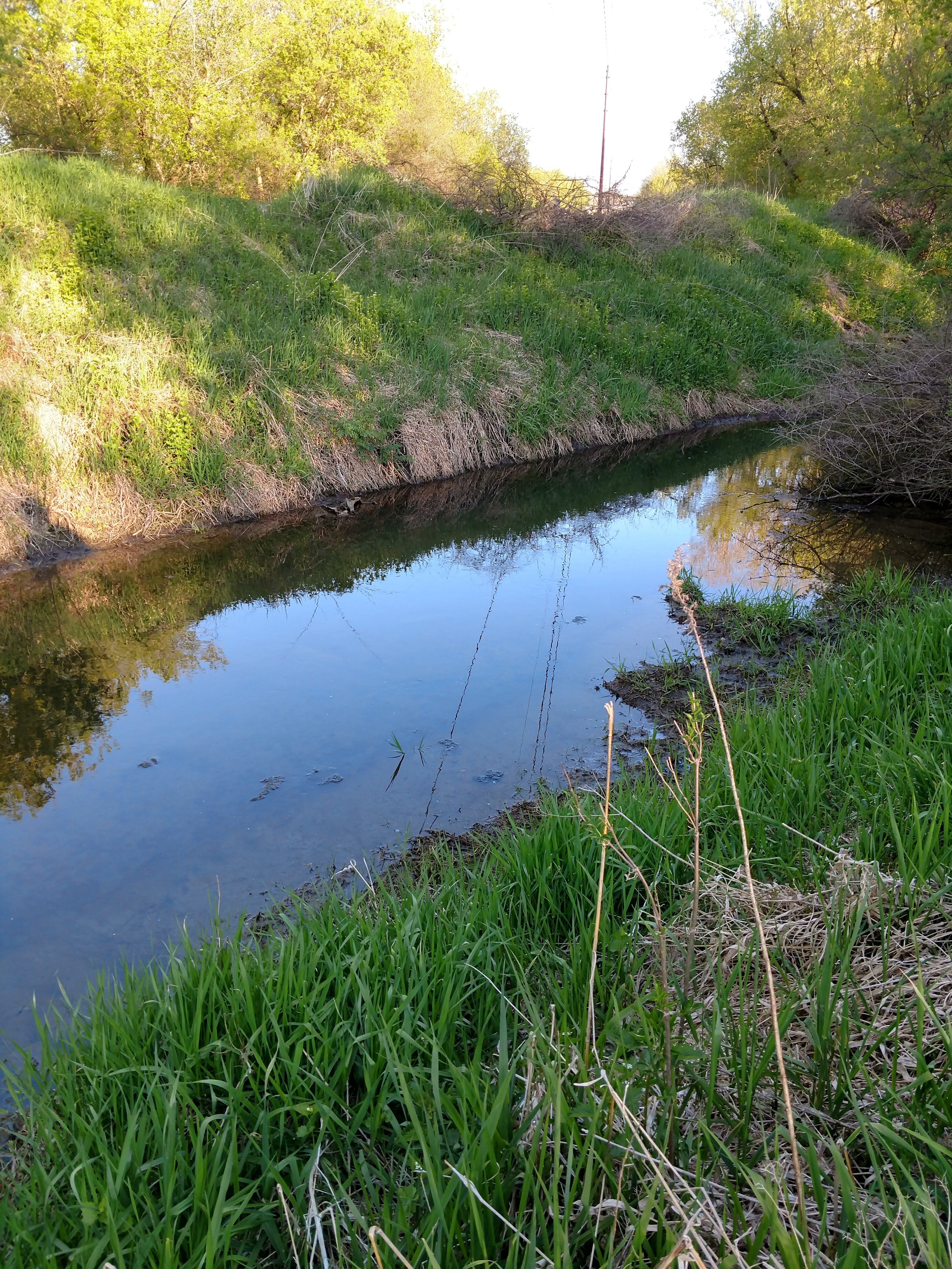 Unnamed Stream, Yahara River and Lake Monona Watershed (LR08)