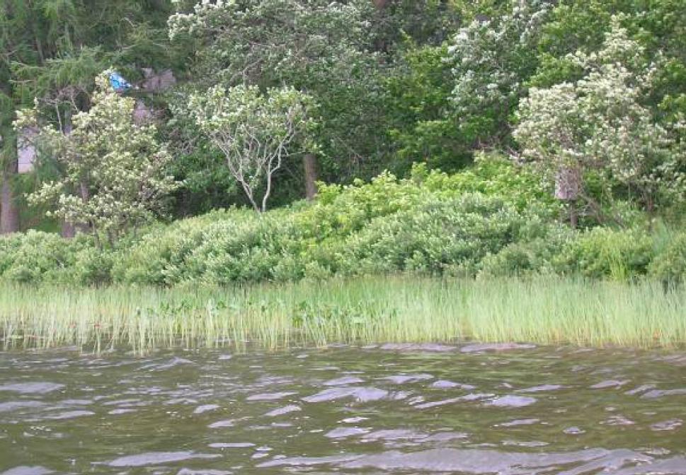 Birch Lake, Upper St. Croix and Eau Claire Rivers Watershed (SC18)