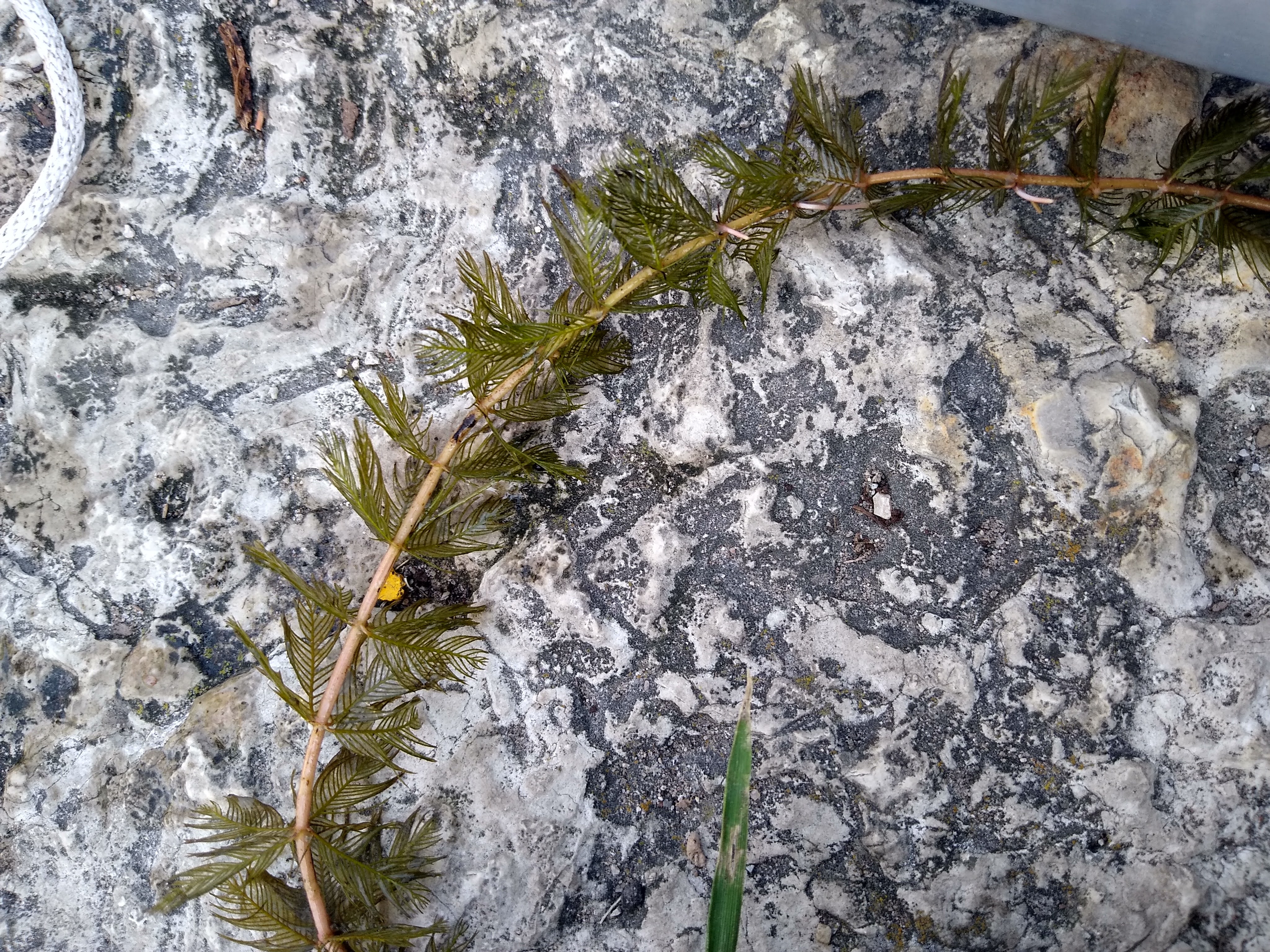 Heins Creek, Upper Door County Watershed (TK06)