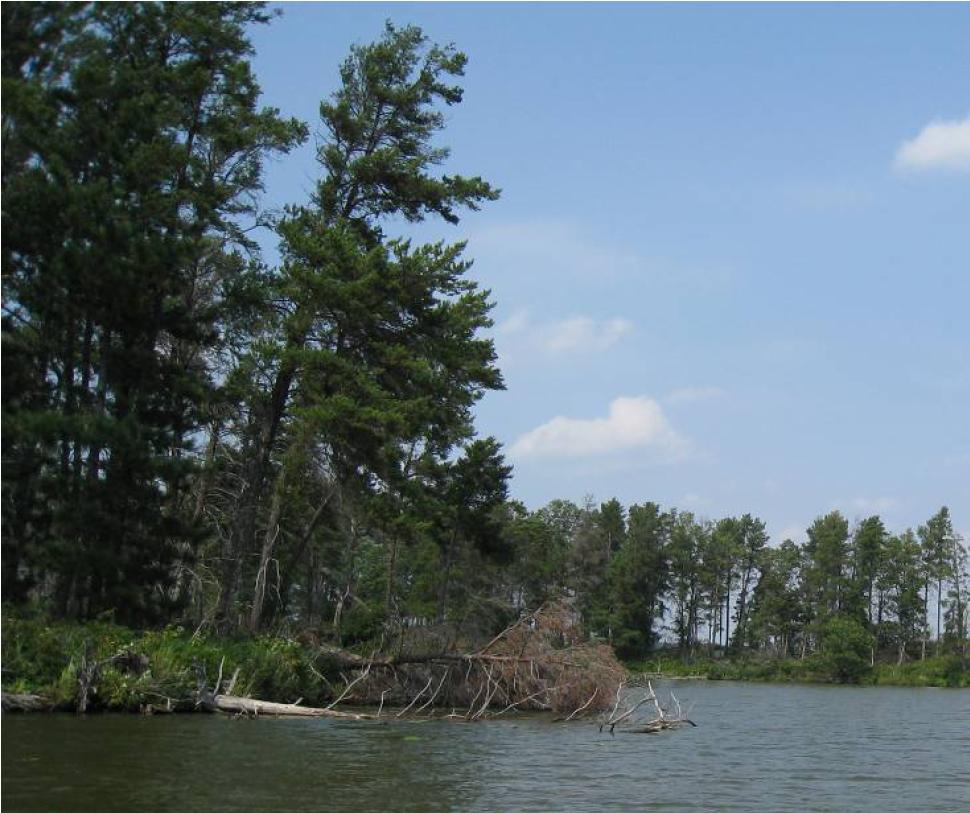 Minong Flowage, Totagatic River,Lower Namekagon River Watershed (SC19)