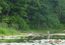 Deep Lake, Neenah Creek Watershed (UF14)