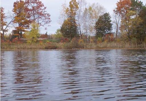 Jacqueline Lake, Plover and Little Plover Rivers Watershed (CW12)
