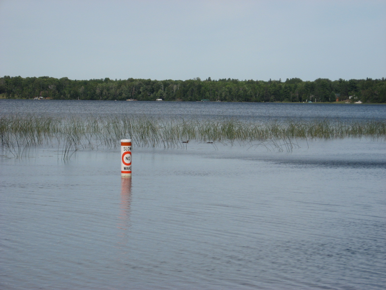 Birch Lake, Flambeau Flowage Watershed (UC14)