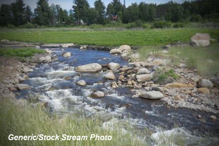 Nelson Creek, Cawley and Rock Creeks Watershed (BR10)
