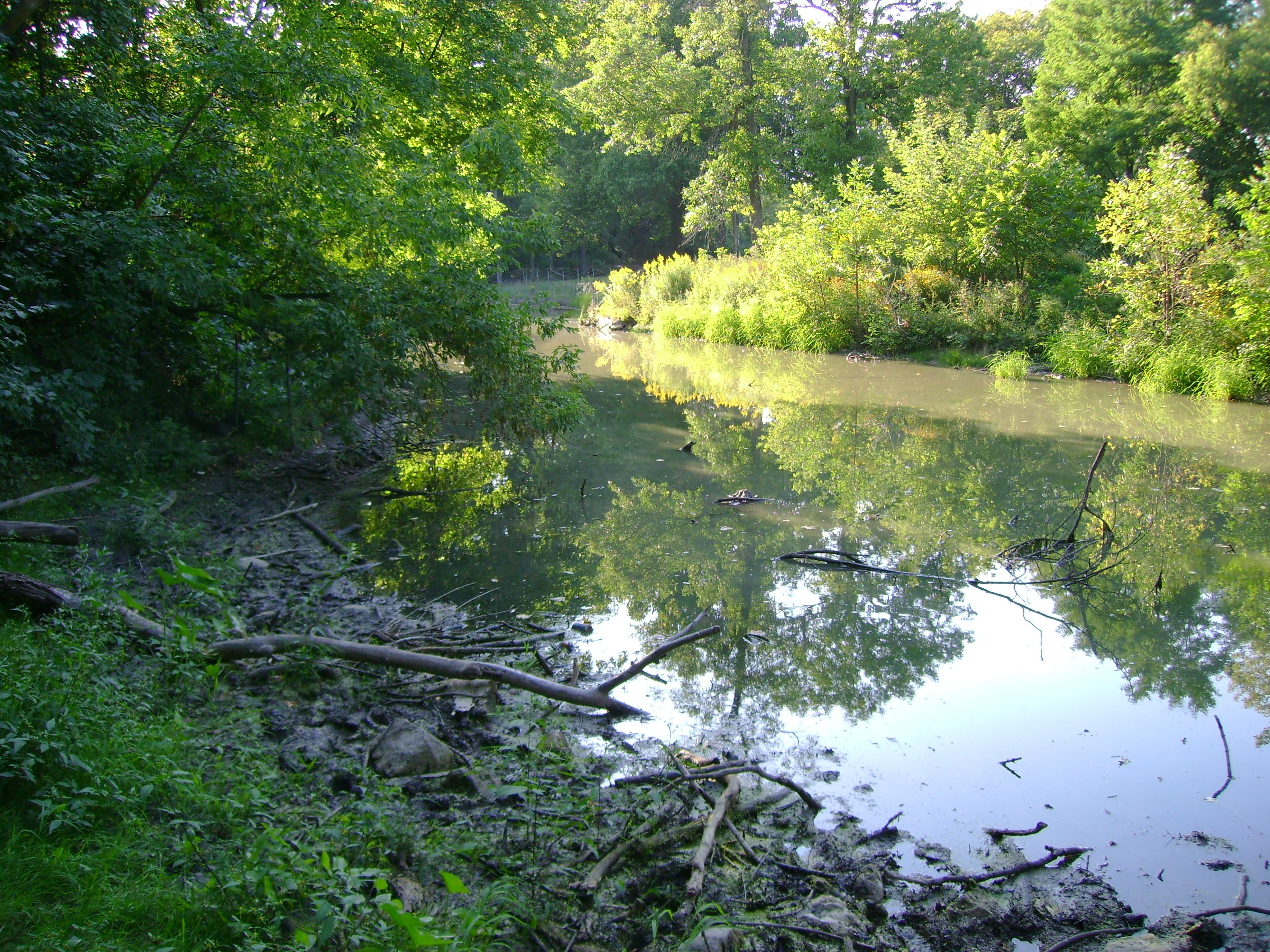 Jacobus Park Pond, Menomonee River Watershed (MI03)