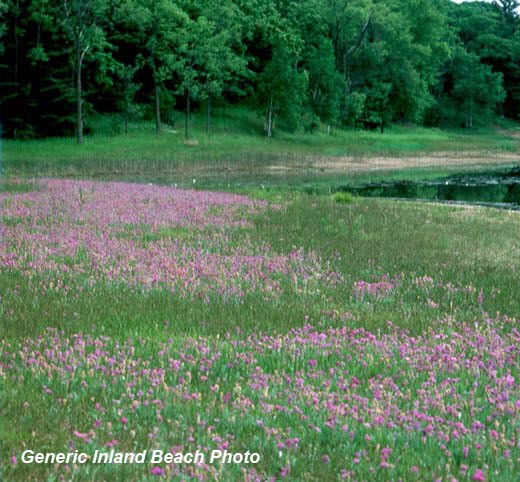 Perch Lake Beach, Perch Lake, Lower Willow River Watershed (SC02)