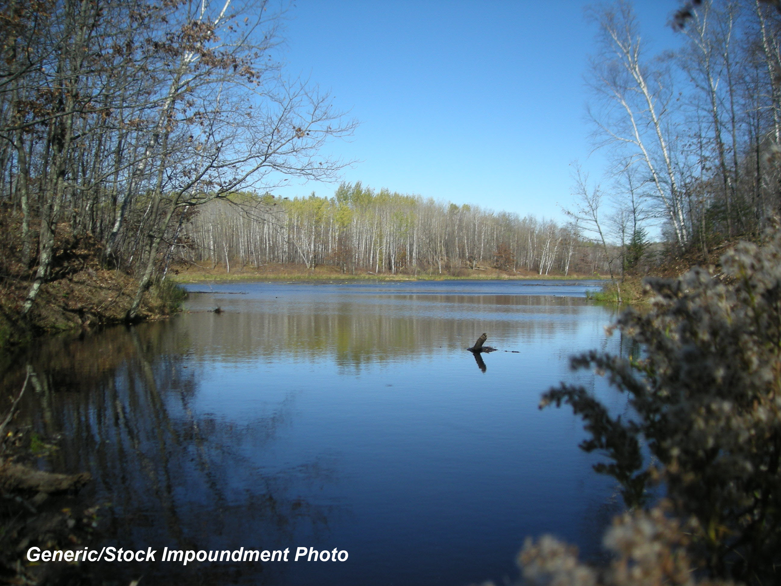 Twin Lake West, Lake Chetek Watershed (LC08)