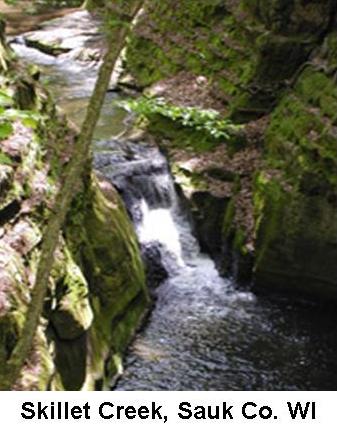 Skillet Creek, Narrows Creek and Baraboo River Watershed (LW22)