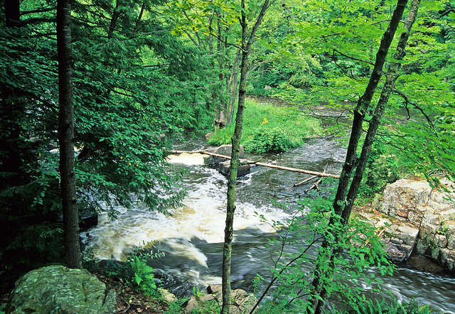 Eau Claire River, Upper Eau Claire River,Lower Eau Claire (Marathon Co.) River,Springbrook Creek Watershed (CW20)