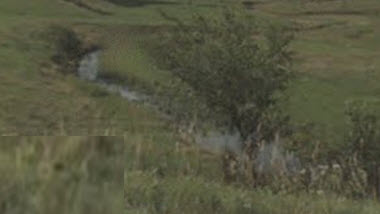 Bull Branch, Galena River Watershed (GP01)