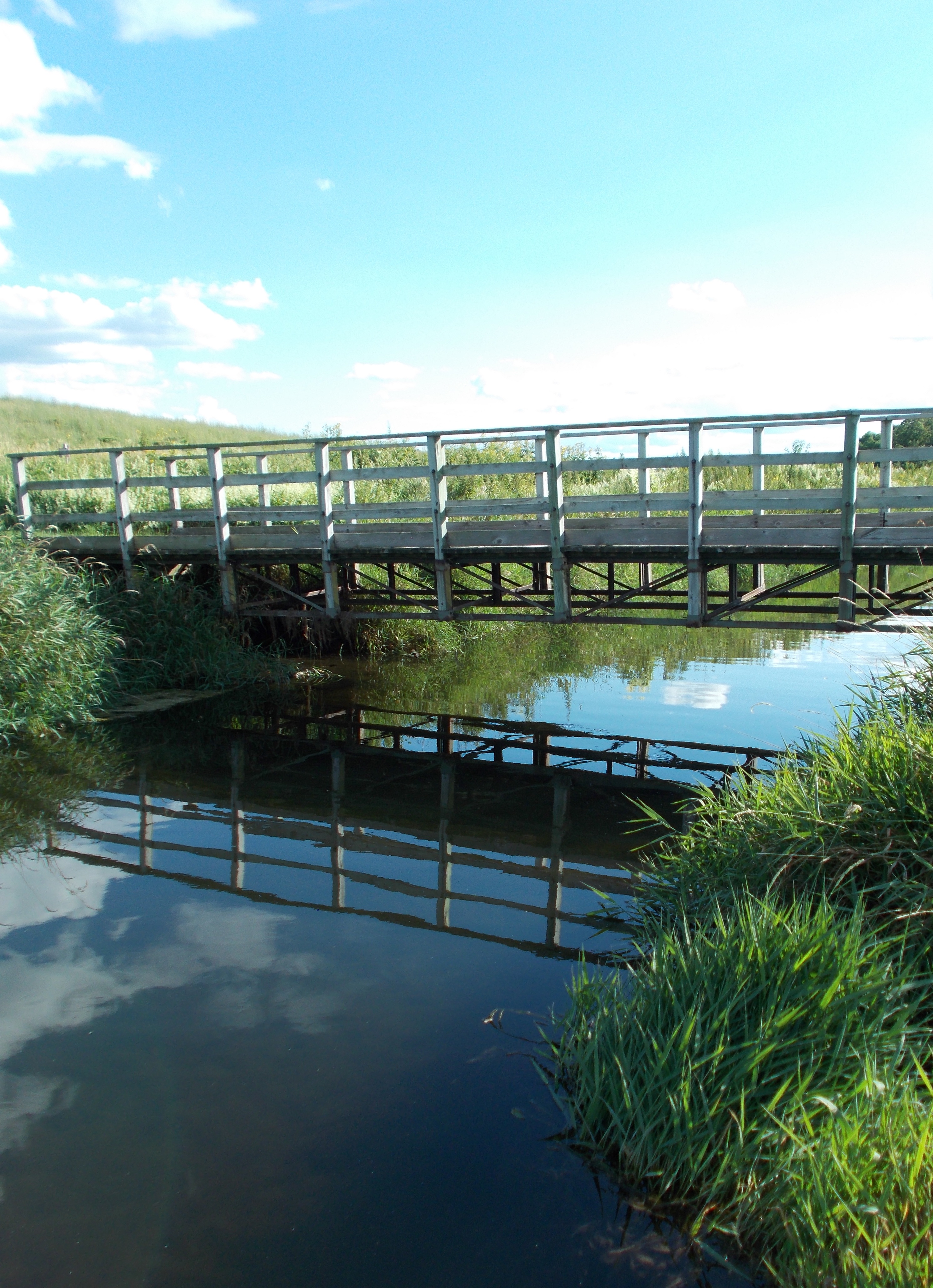 Nine Springs Creek, Yahara River and Lake Monona Watershed (LR08)