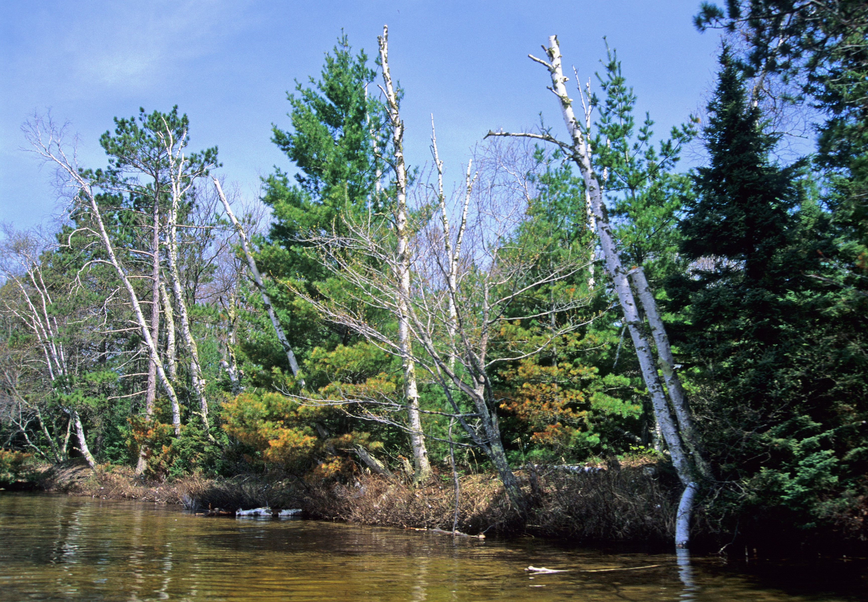 Boulder Lake, Manitowish River Watershed (UC16)