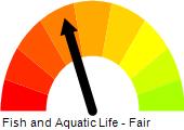 Local Water, Middle Grant River Watershed (GP05) Fish and Aquatic Life
