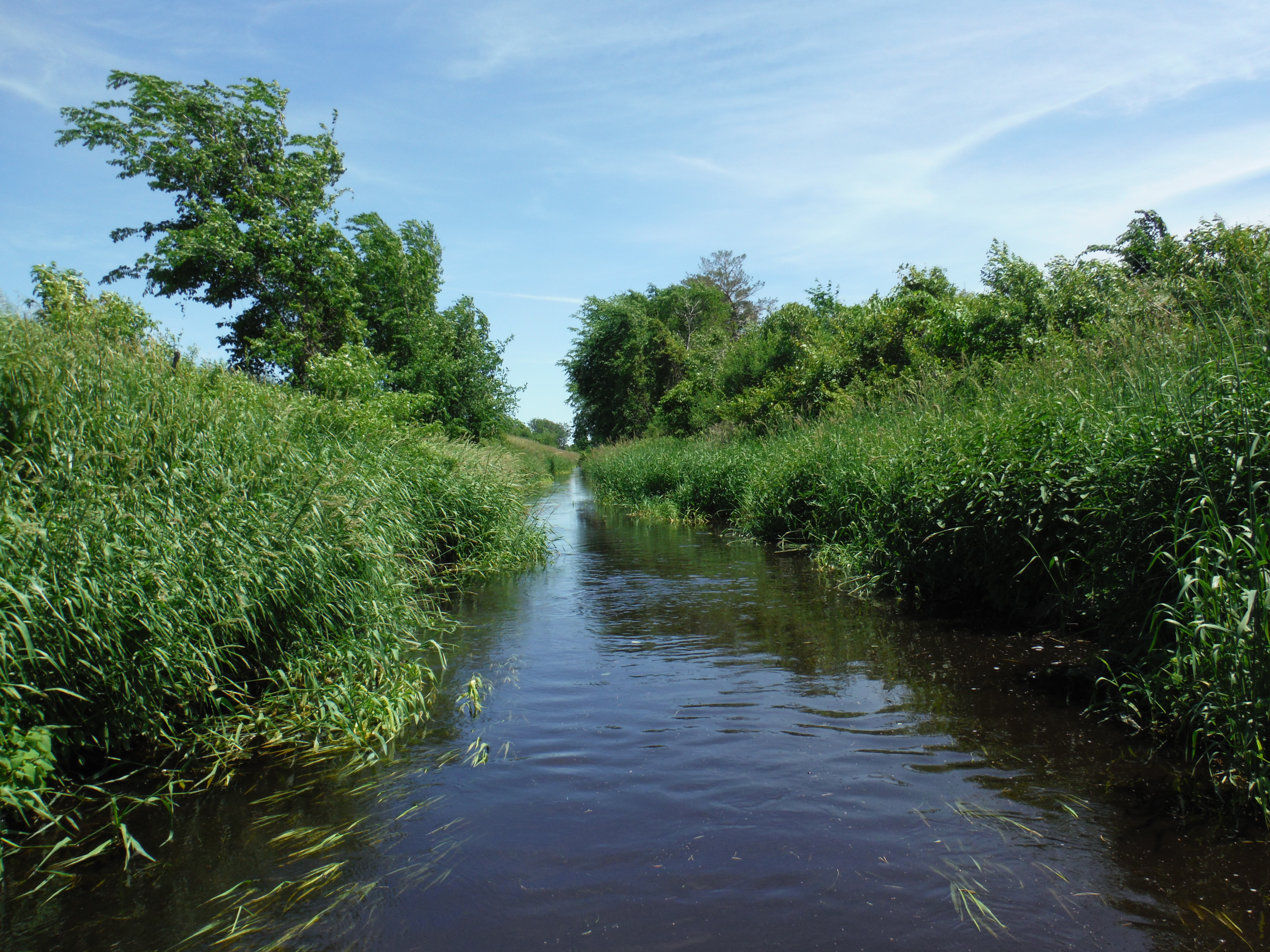 Sevenmile and Tenmile Creeks Watershed