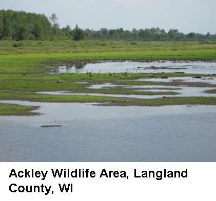 Pine Creek Watershed
