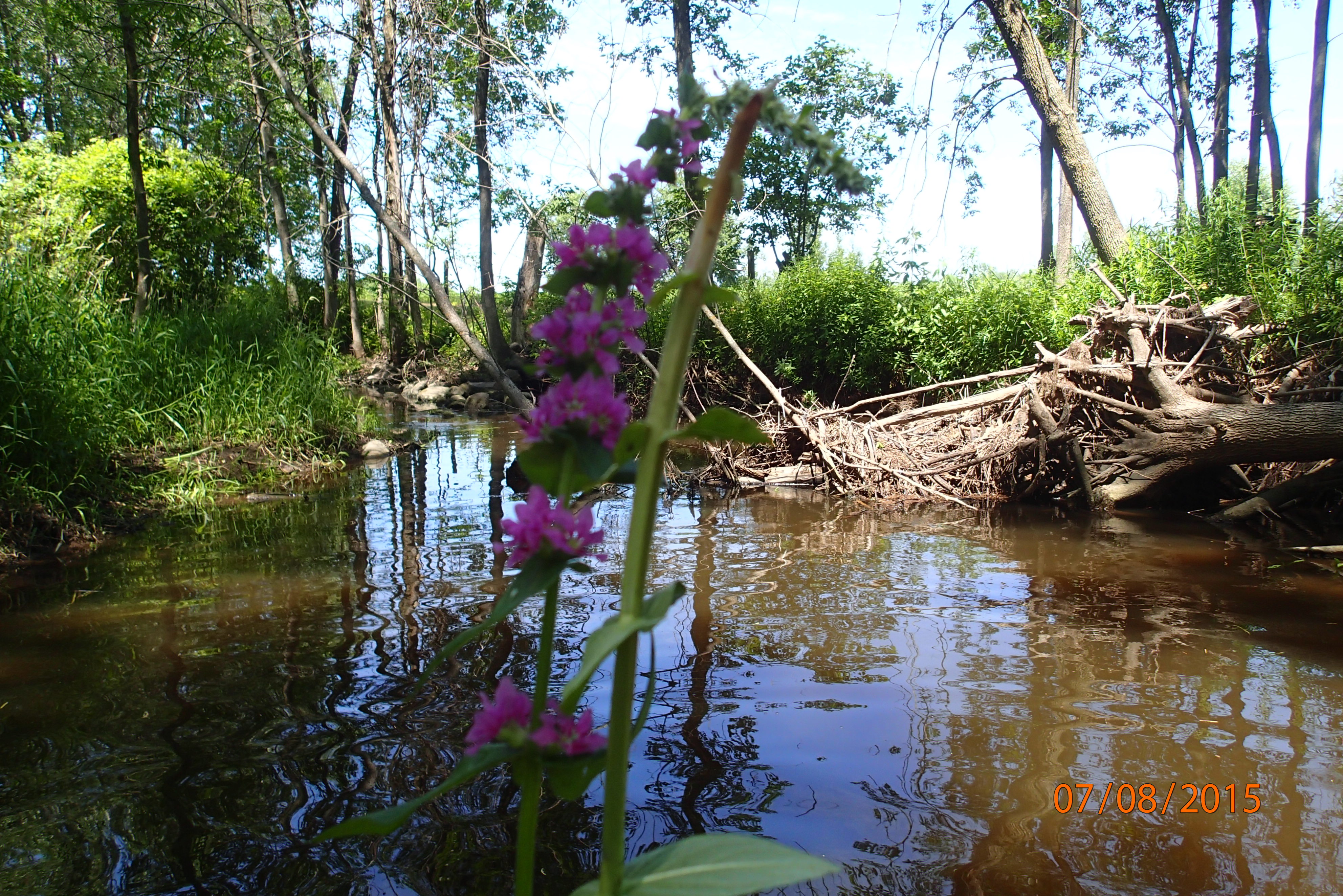 Lower Peshtigo River Watershed