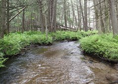 Little Peshtigo River Watershed
