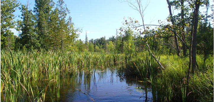 Wausaukee and Lower Menominee Rivers Watershed