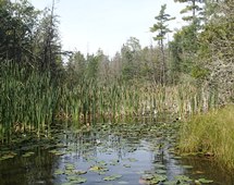 Wausaukee and Lower Menominee Rivers Watershed