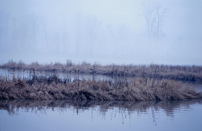 Bear Creek Watershed