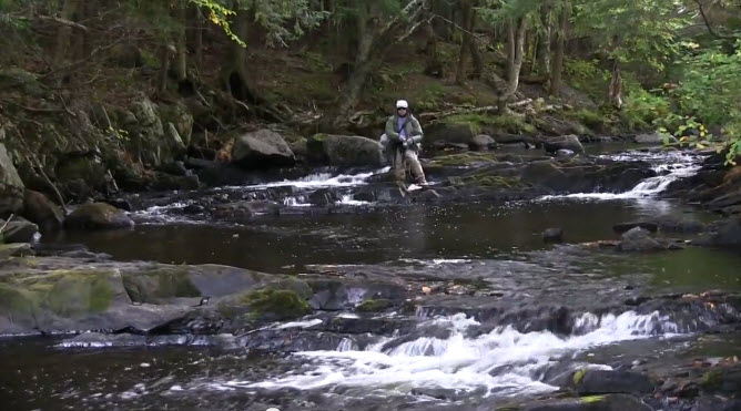 Tyler Forks Watershed