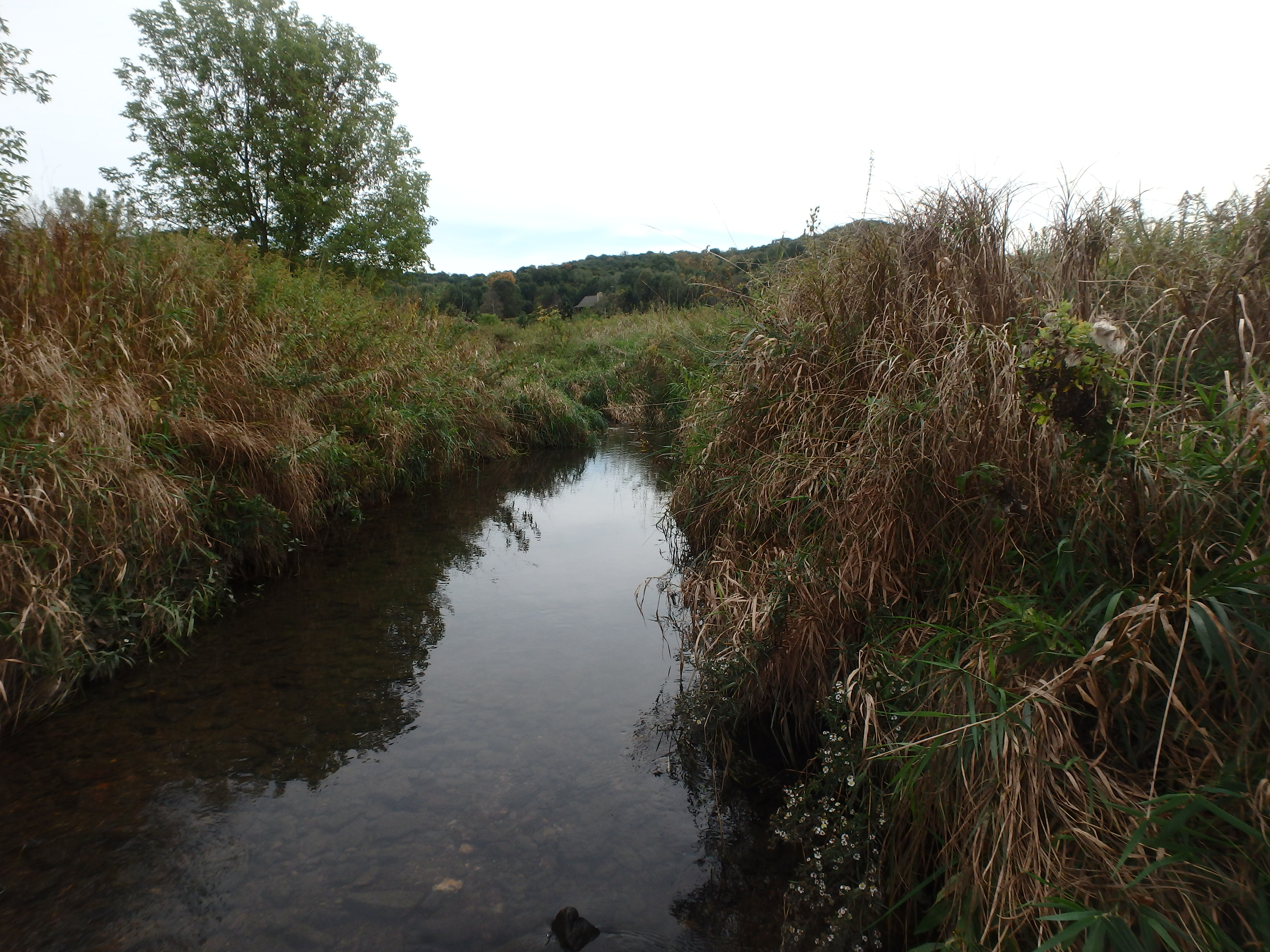 Seymour Creek and Upper Baraboo River Watershed