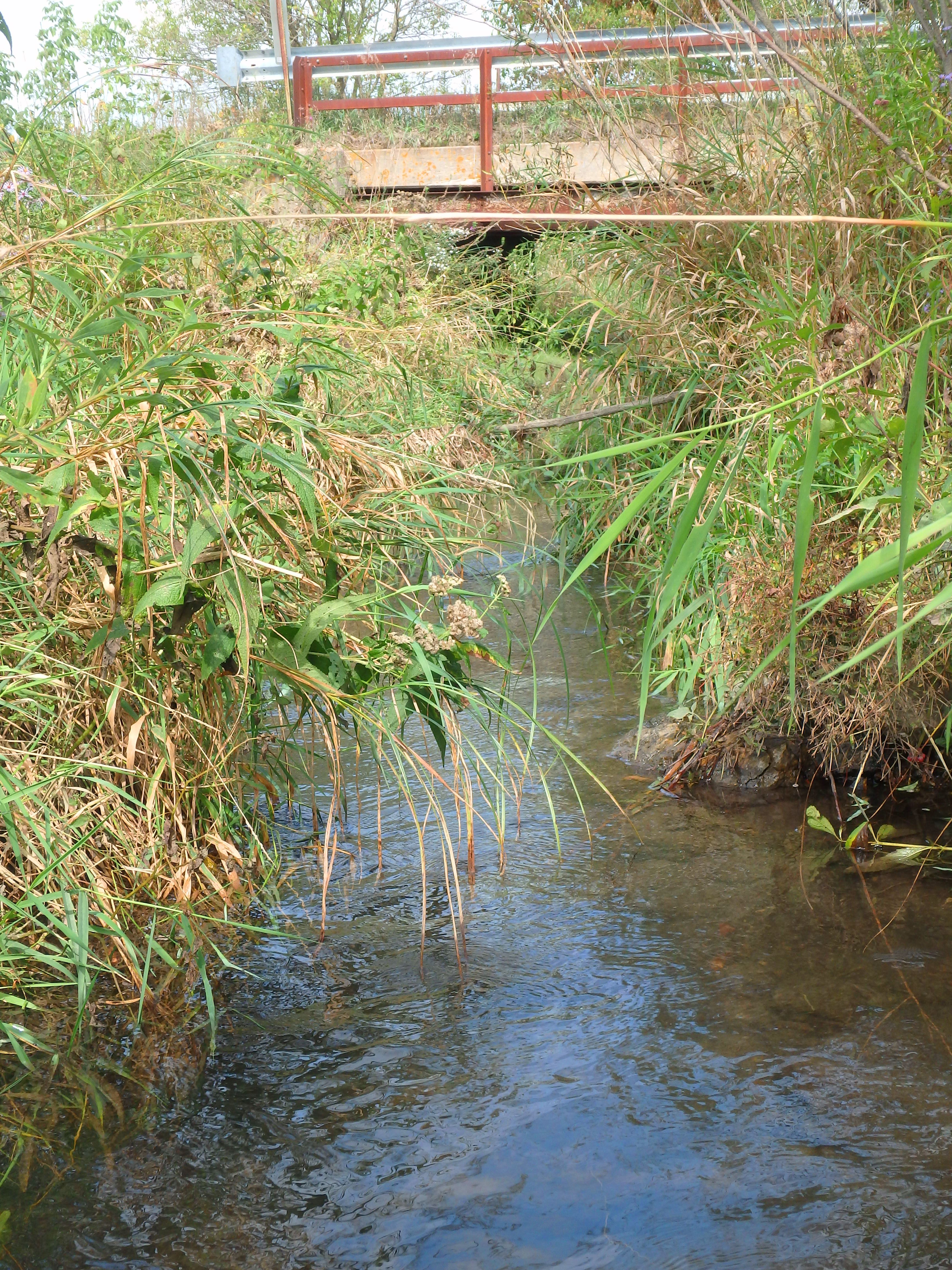 Seymour Creek and Upper Baraboo River Watershed