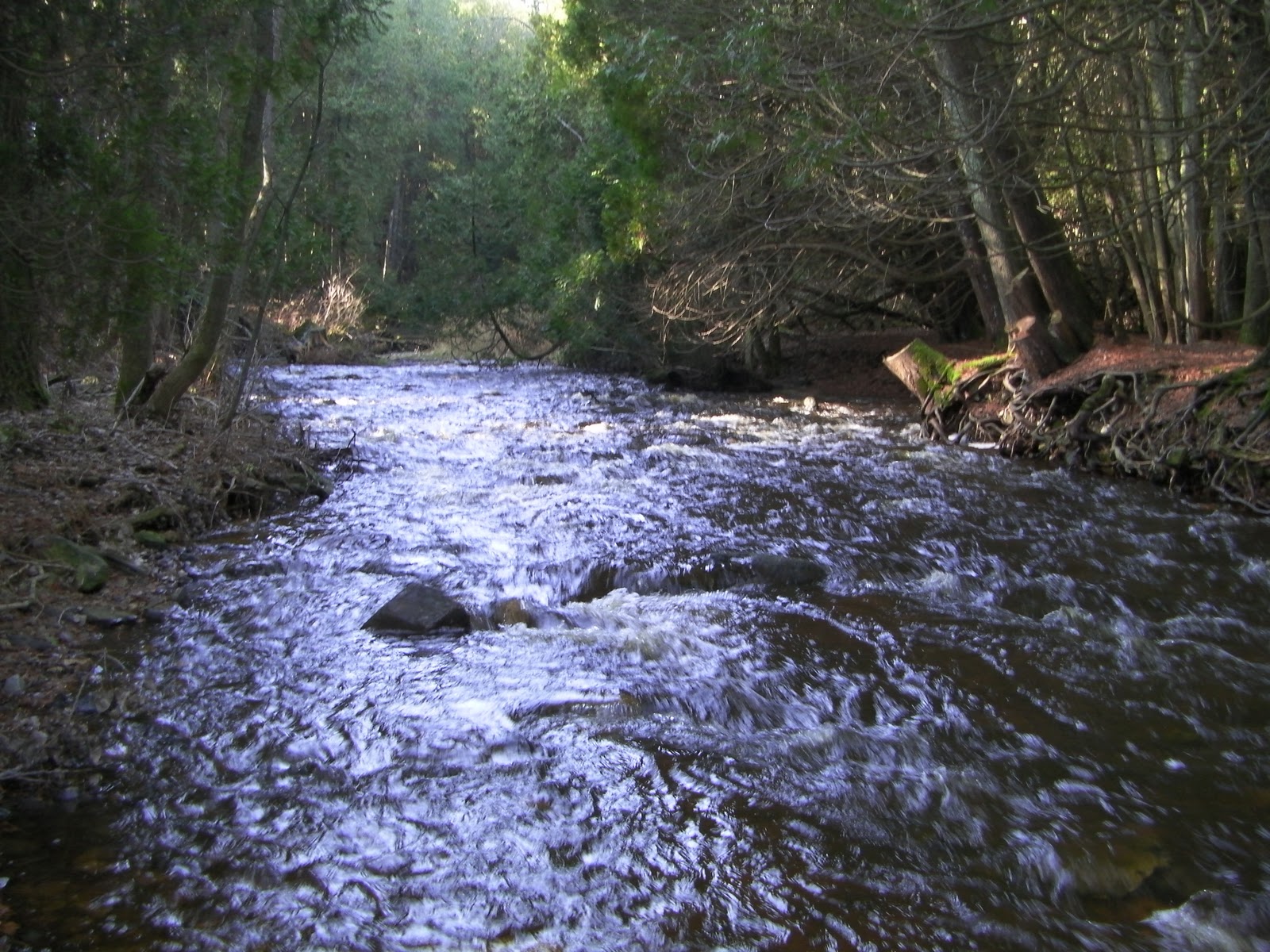 East Twin River Watershed
