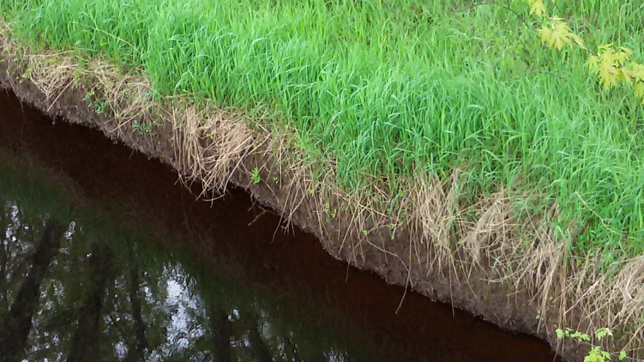 East Fork Chippewa River Watershed