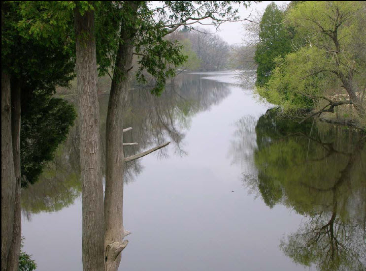 Lower Wolf River Watershed
