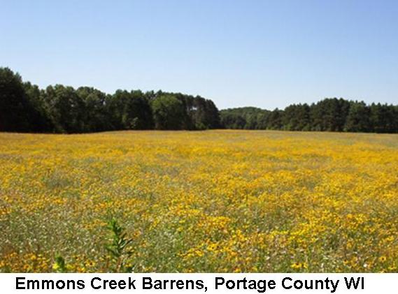 Waupaca River Watershed