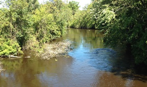 Lower Little Wolf River Watershed