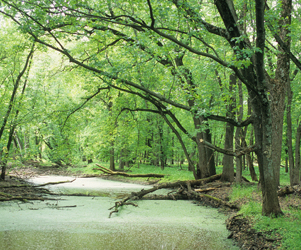 Baraboo_copy.jpg