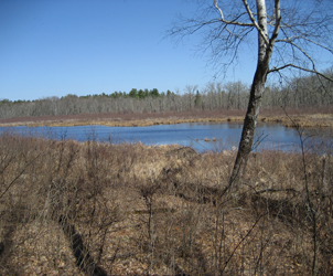 Butler_Lake_SNA.jpg