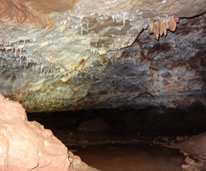 Cave_NCphoto_0002.jpg