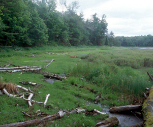 Hanson_Lake_00-06-15.jpg