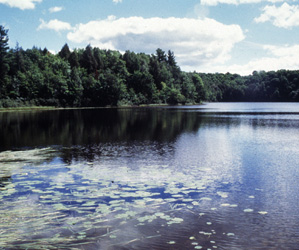 LAC_DRA102.jpg