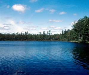 NH_204.jpg