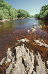 SNA_Reel_5_030.jpg