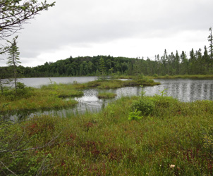 SftBogL_NCphoto_0001.jpg